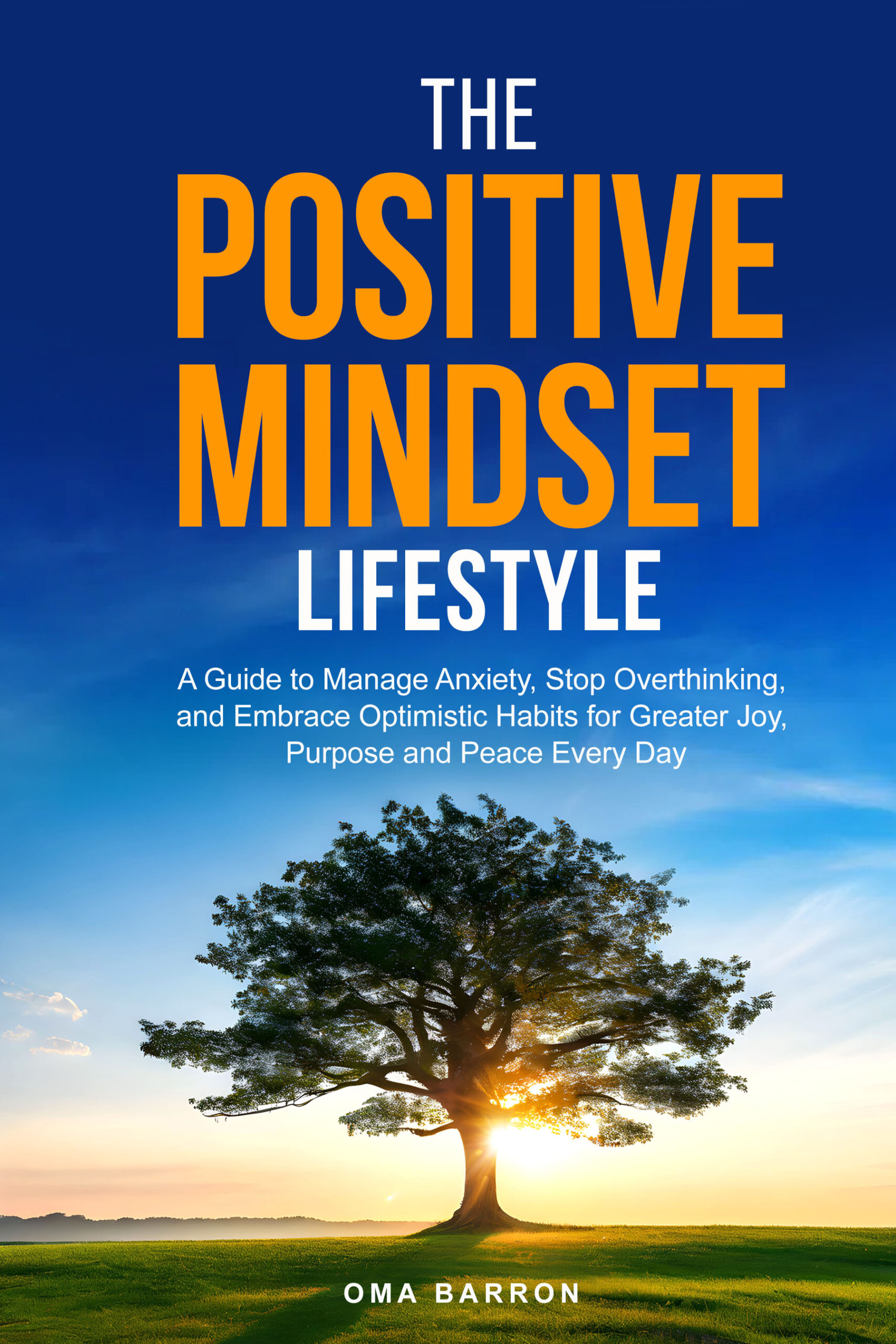 The Positive Mindset Lifestyle Ebook The Positive Mindset Lifestyle Ebook